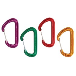 Passende Karabiner zum Dragon Cam 2 Einsteiger-Set!
