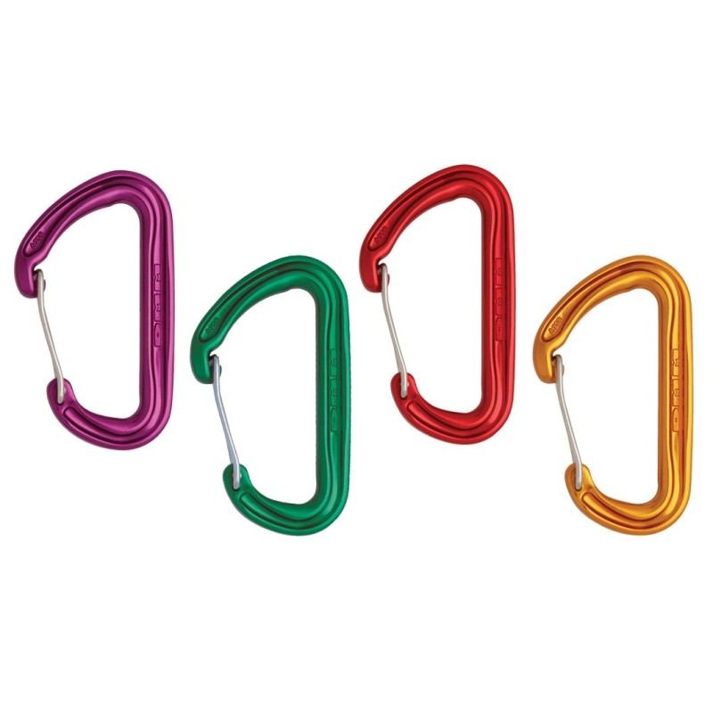 Passende Karabiner zum Dragon Cam 2 Einsteiger-Set!