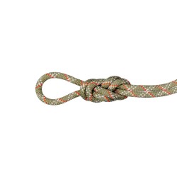 MAMMUT Gym Classic 9.5