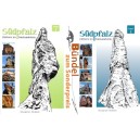 Südpfalz - Klettern im Buntsandstein Band 1 & Band 2 im Bundle